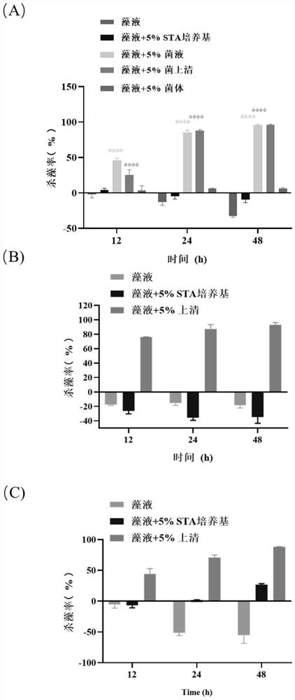 Bacillus tequilensis with algicidal activity and application of bacillus tequilensis