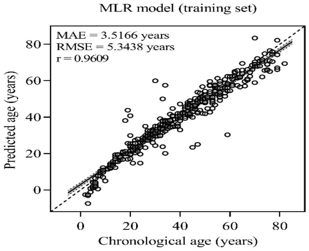 Combined marker for deducing individual age of Chinese Han population and application of combined marker