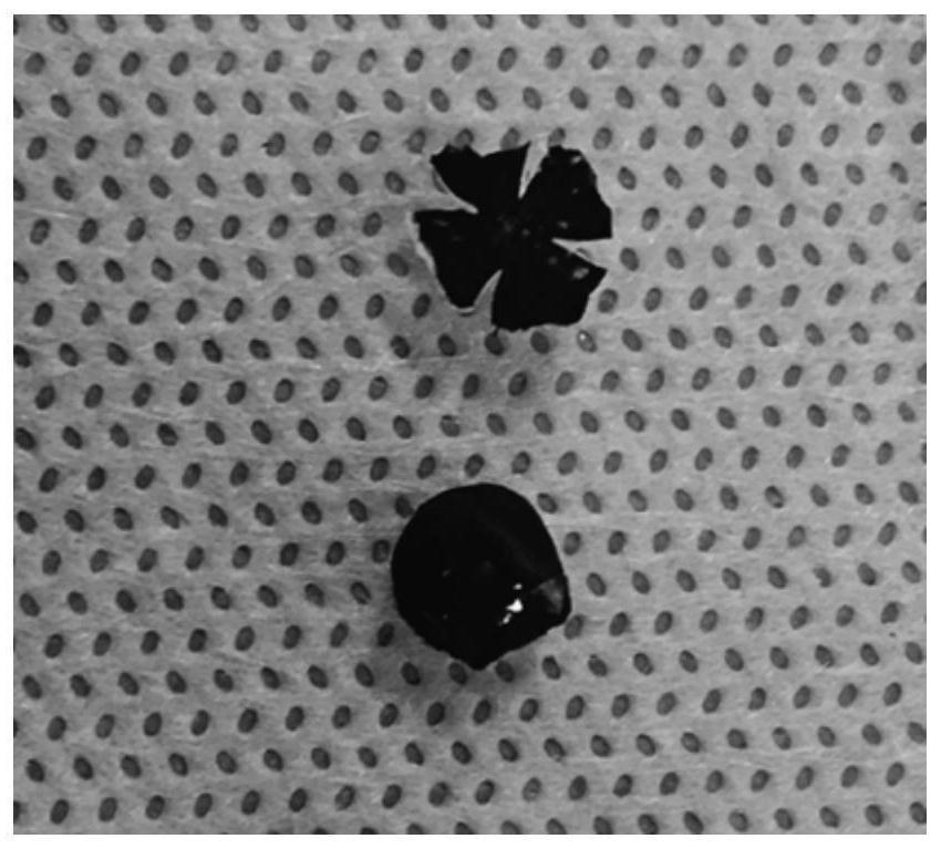 A method for digestion and dissociation of primary tissues of retinal pigment epithelial cells