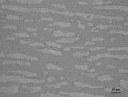 Double-phase stainless steel microstructure and sigma mesophase chromatic corrosive and corrosion method