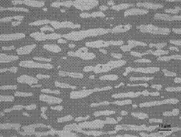 Double-phase stainless steel microstructure and sigma mesophase chromatic corrosive and corrosion method