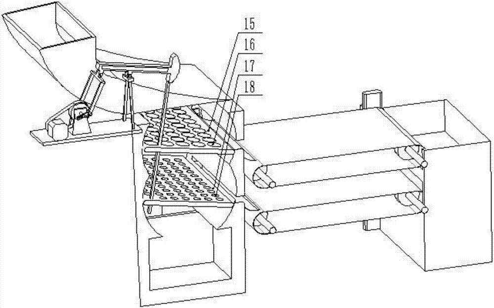 Winter jujube sorting device