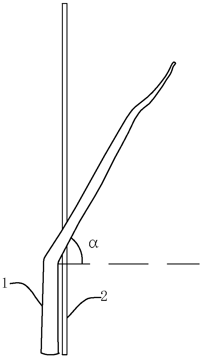 Pruning method of peach trees