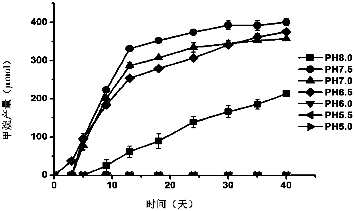 Methanomassiliicoccus sp. and application thereof