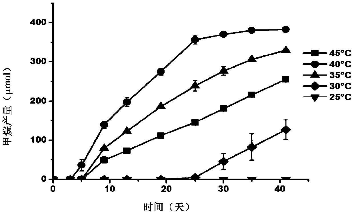 Methanomassiliicoccus sp. and application thereof