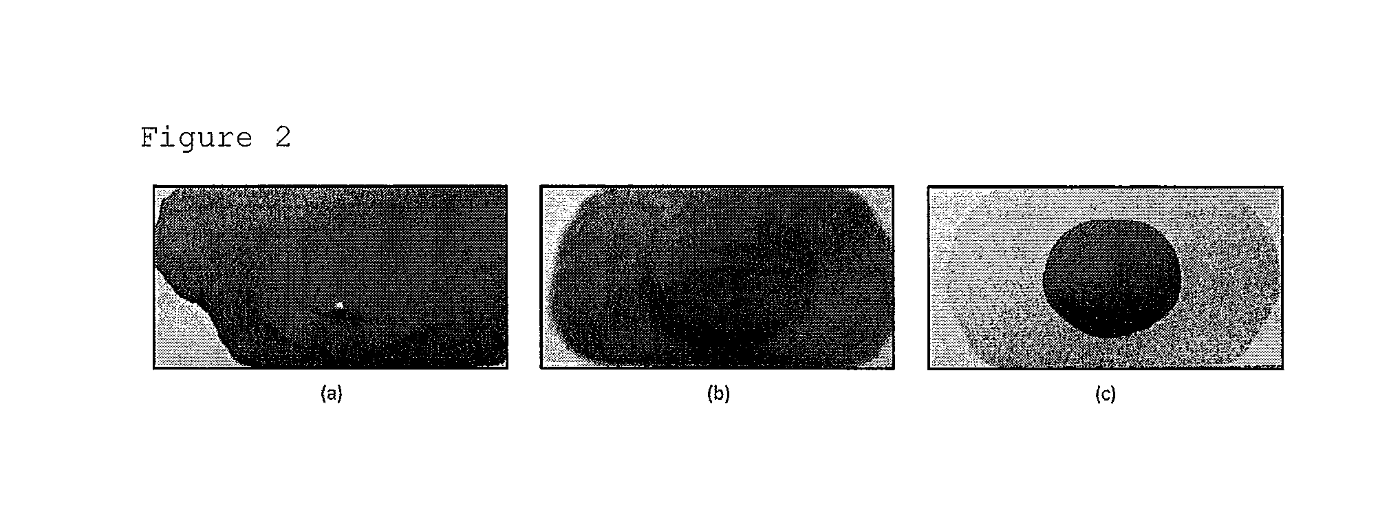 Liquid developer dispersion for digital printing process