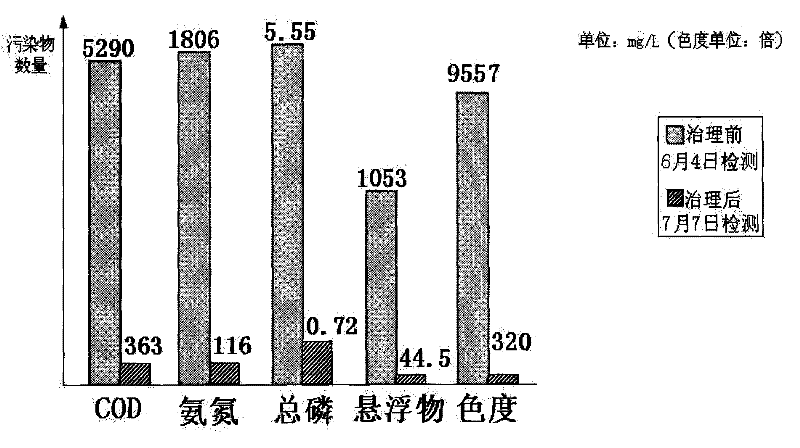 Ecological restoring method of river water body