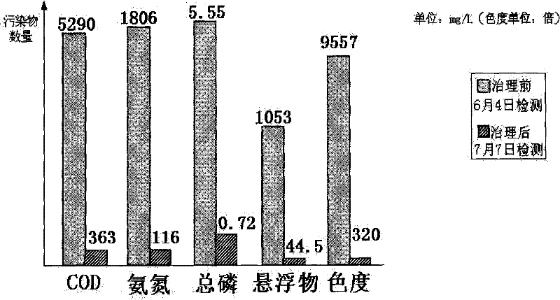 Ecological restoring method of river water body