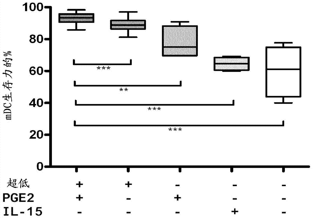 Method for the preparation of dendritic cell vaccines