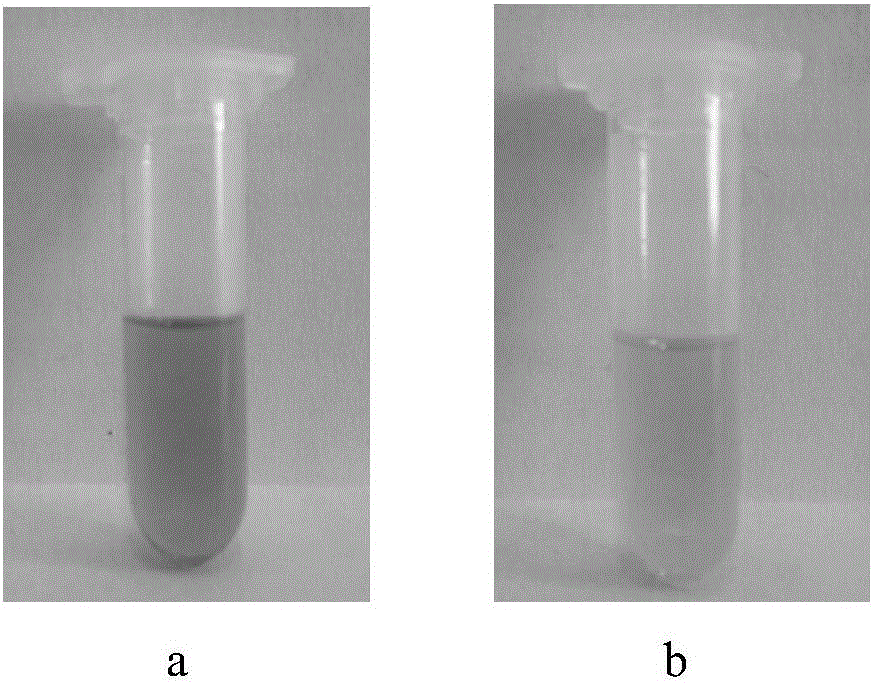 Method for preparing dehydrated castor oil