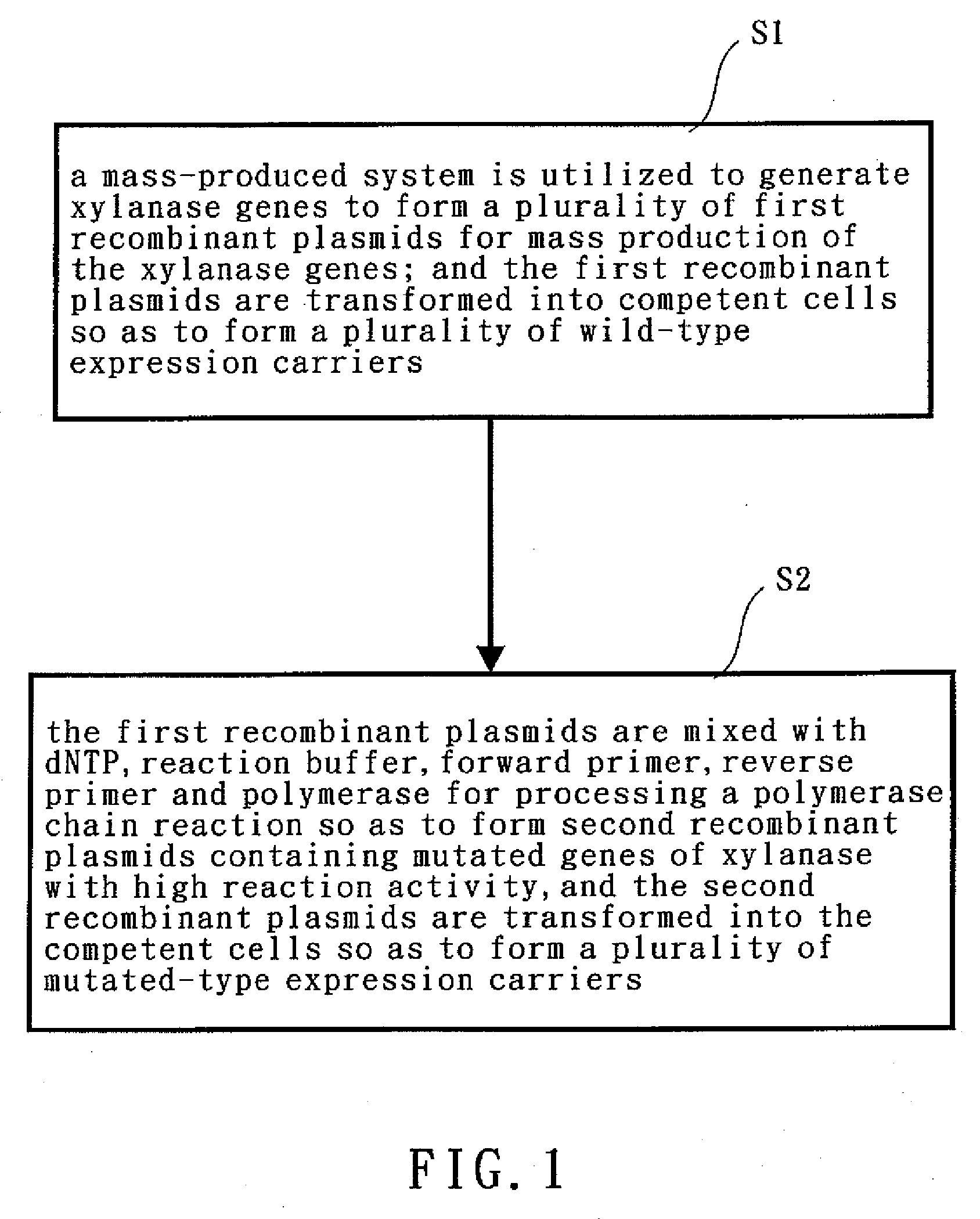 Mutated Xylanase Gene with High Reaction Activity and Site-Specific Mutagenesis Method Thereof