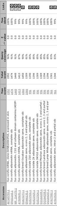 gad gene of porcine globular adiponectin and protein encoded by gad gene and application