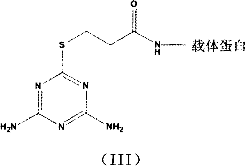 Melamine hapten, melamine complete antigen and preparation method thereof