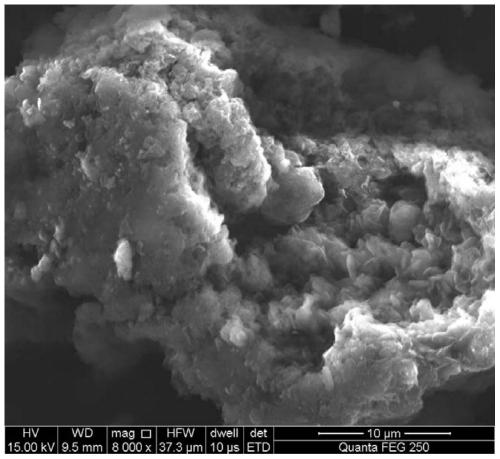 Method for photocatalytic degradation of antibiotics in water body