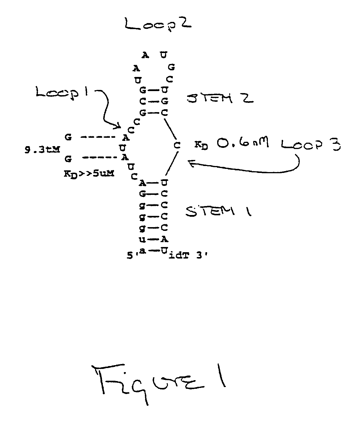 Modulators of pharmacological agents