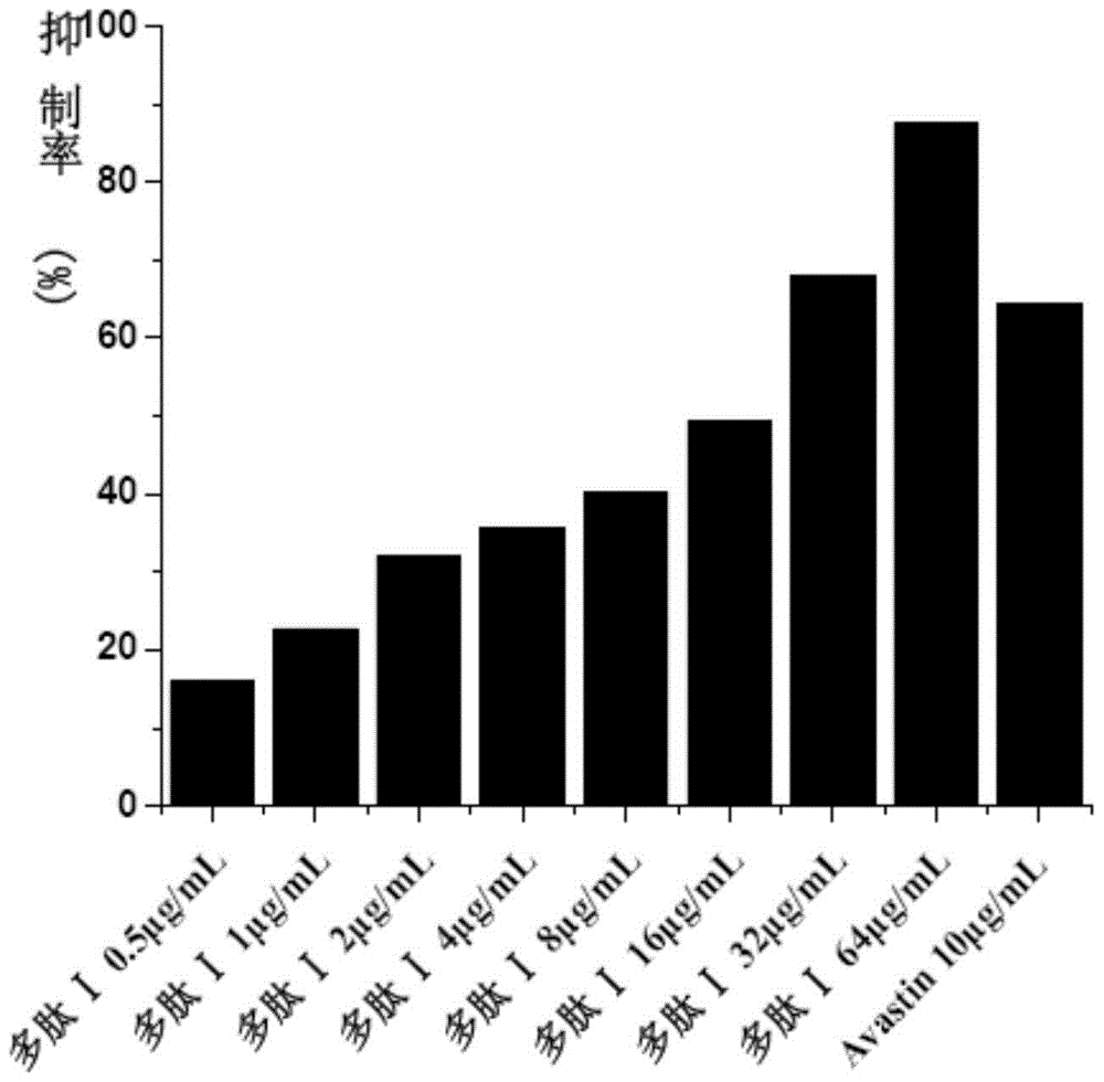 Multifunctional fusion polypeptide and its preparation method and application