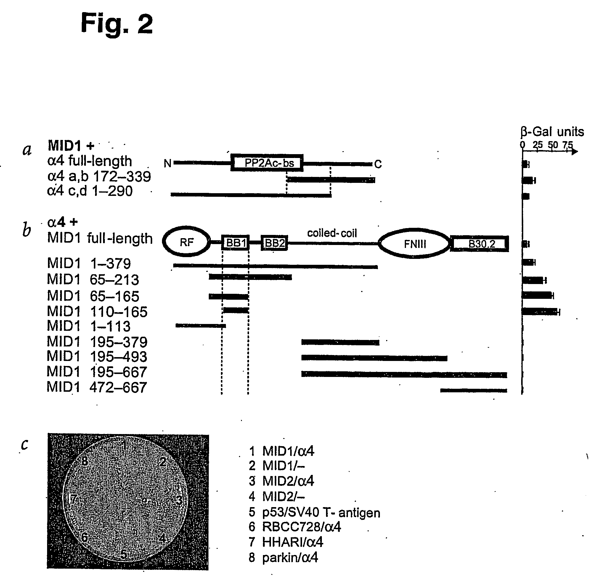 Means for use in treating diseases correlated with or caused by non-physiological levels of microtubule-associated pp2ac