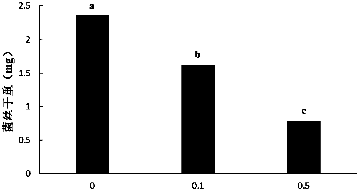 A botanical fungicide for preventing and treating potato dry rot and preparation method thereof