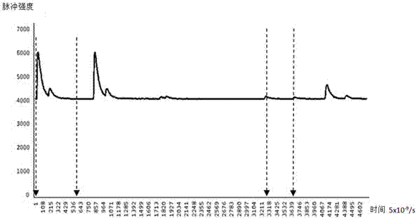 Digital pulse overlapping peak separation algorithm based on model base