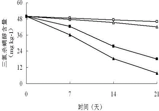 Dicofol degrading bacterium and soil restoration application