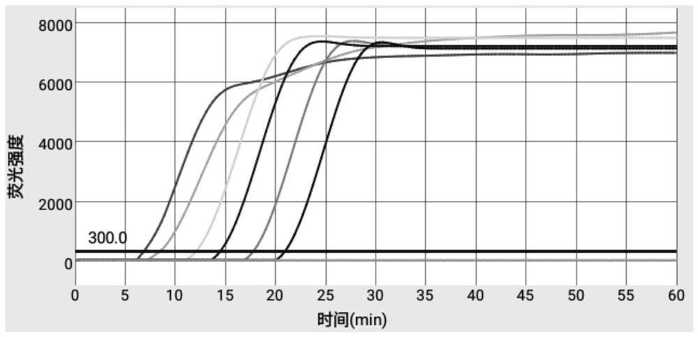 Primer and kit for efficiently detecting Erysipelothrix rhusiopathiae