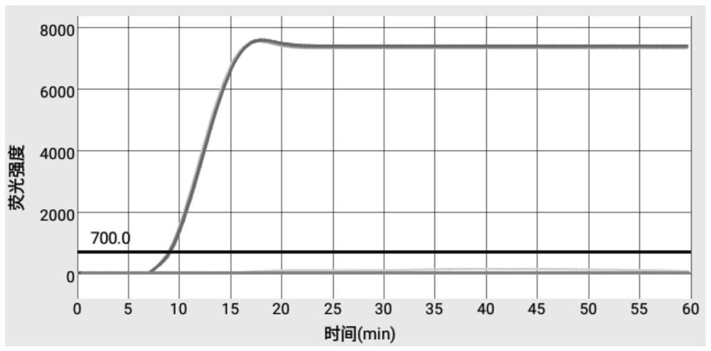 Primer and kit for efficiently detecting Erysipelothrix rhusiopathiae