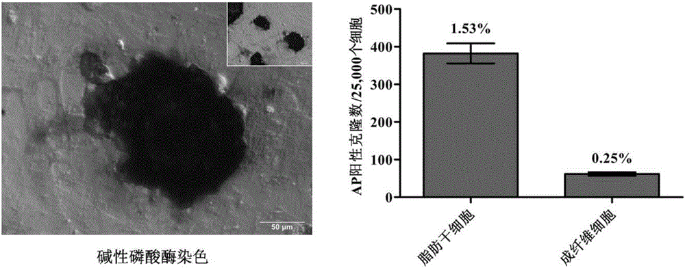 A method for efficiently obtaining porcine induced pluripotent stem cells