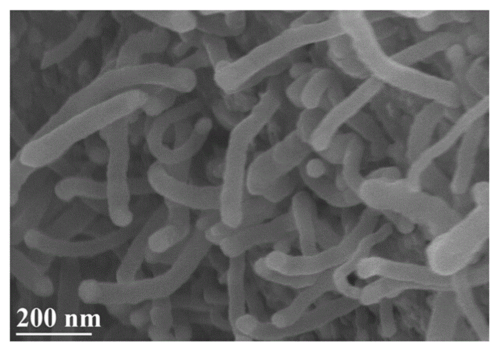 Nitrogen-doped carbon nanotube nickel-iron coated oxygen evolution catalytic material for water electrolysis and application