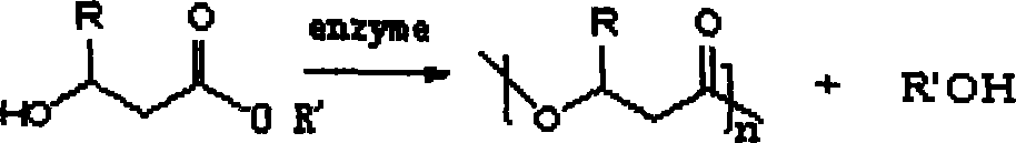 Method for preparing polyesters by enzyme catalysis