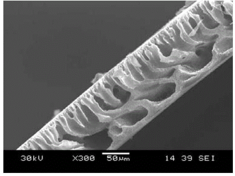 PEO-b-PMMA modified PVDF ultrafiltration membrane and preparation process thereof