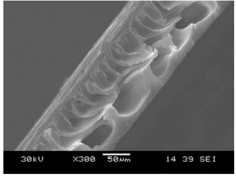 PEO-b-PMMA modified PVDF ultrafiltration membrane and preparation process thereof