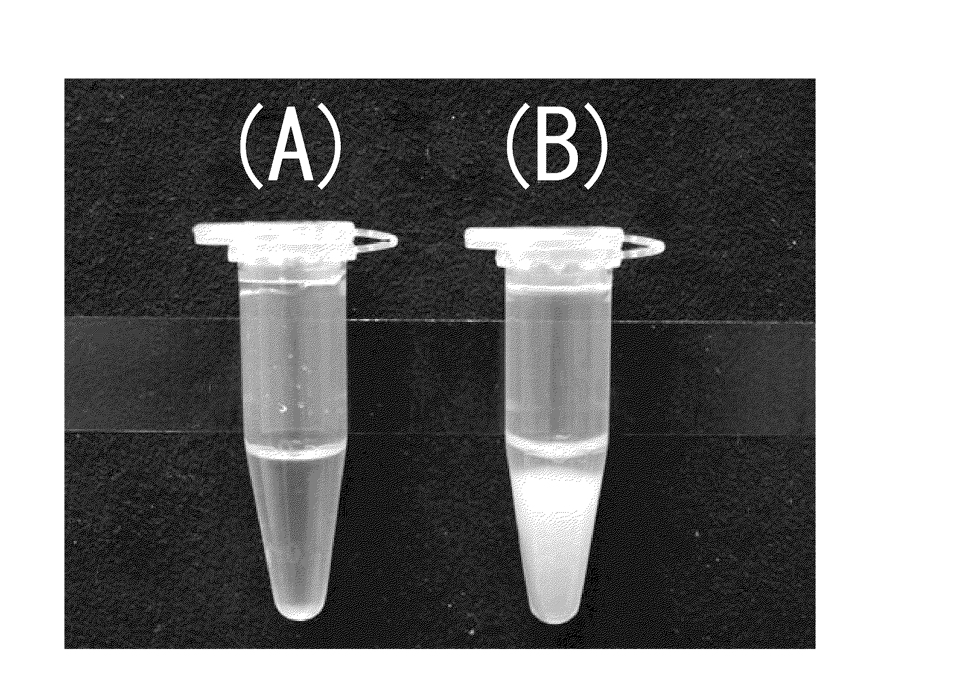 Beta-1,3-glucan manufacturing method