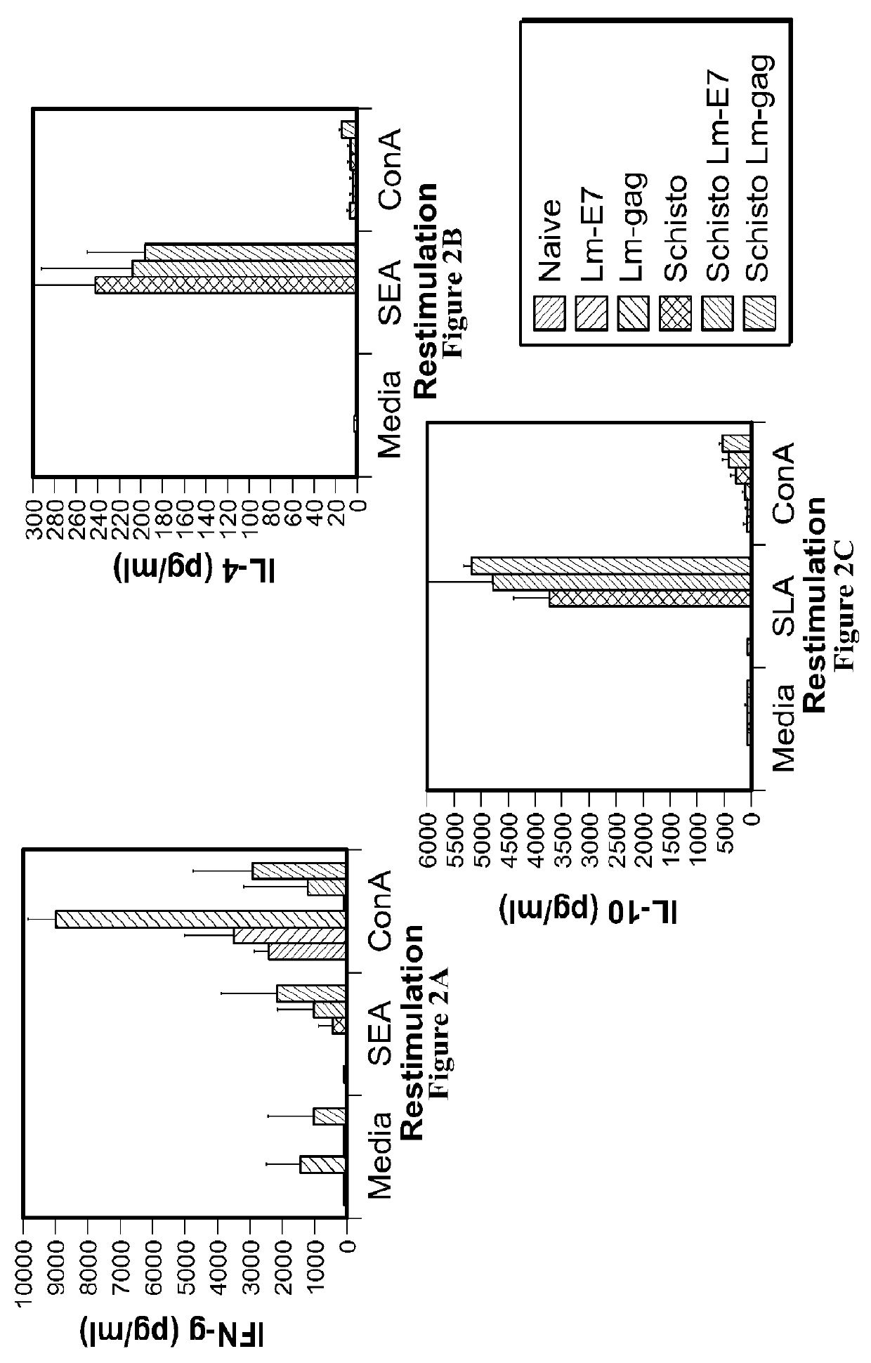 Use of <i>Listeria </i>vaccine vectors to reverse vaccine unresponsiveness in parasitically infected individuals