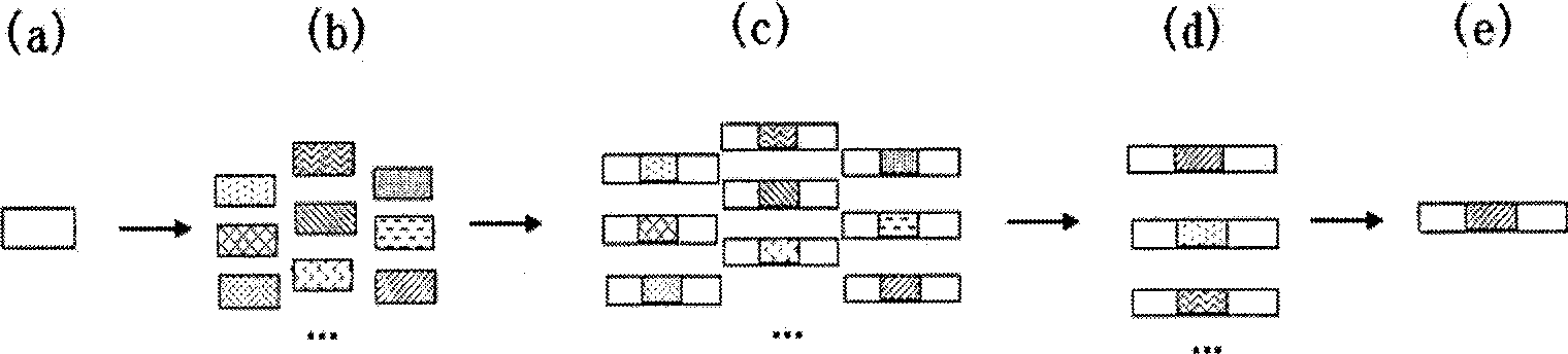 Amplification internal standard preparation based on DNA stochastic shuffling technology