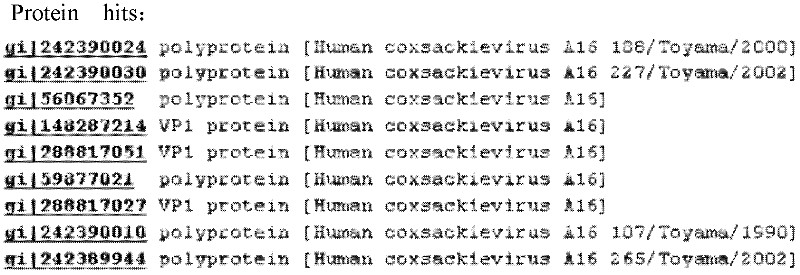 Coxsackie virus A16-type virus strain and applications thereof