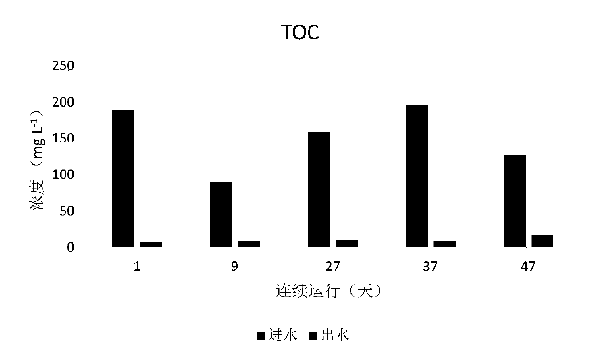 Biological treatment method for simultaneously removing carbon and nitrogen from sewage by controlling dissolved oxygen