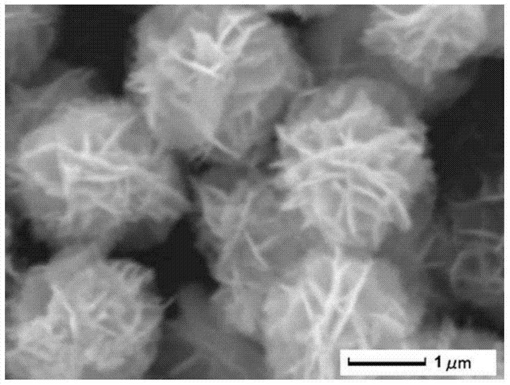 Graphene-based bismuth tungstate composite photocatalyst and its preparation method and application