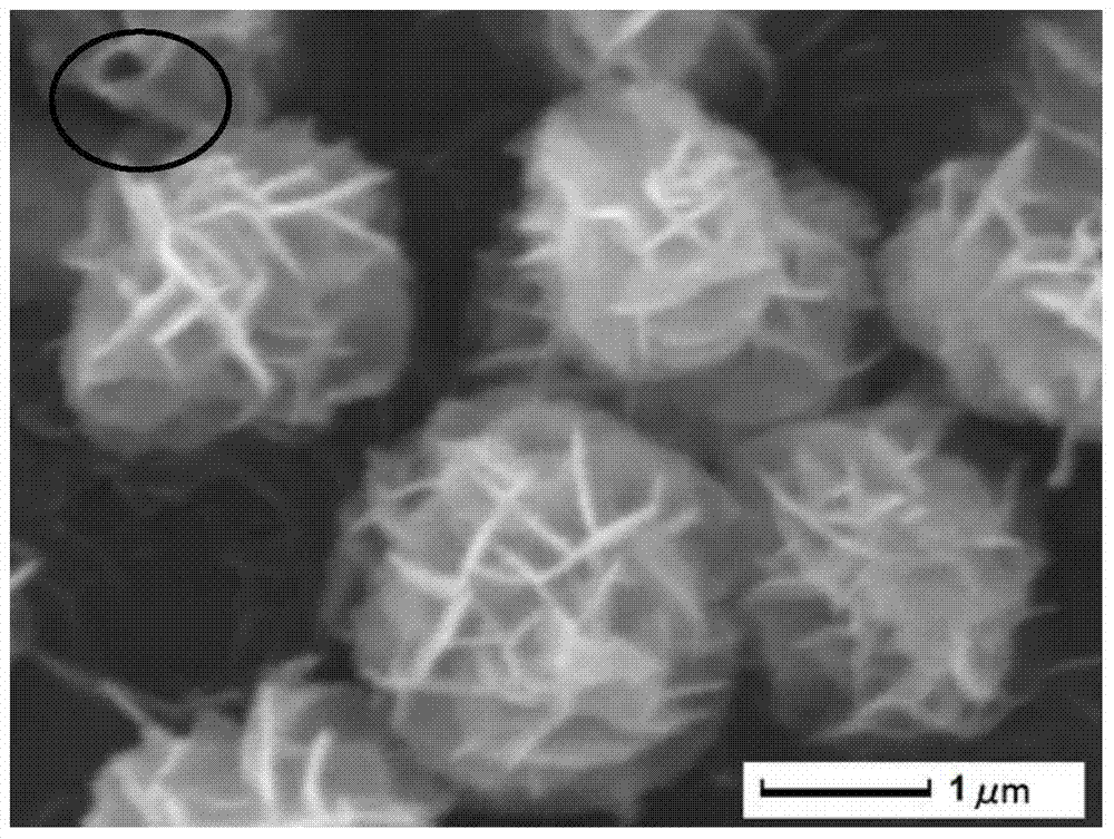 Graphene-based bismuth tungstate composite photocatalyst and its preparation method and application