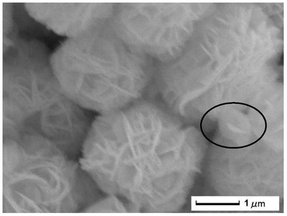 Graphene-based bismuth tungstate composite photocatalyst and its preparation method and application