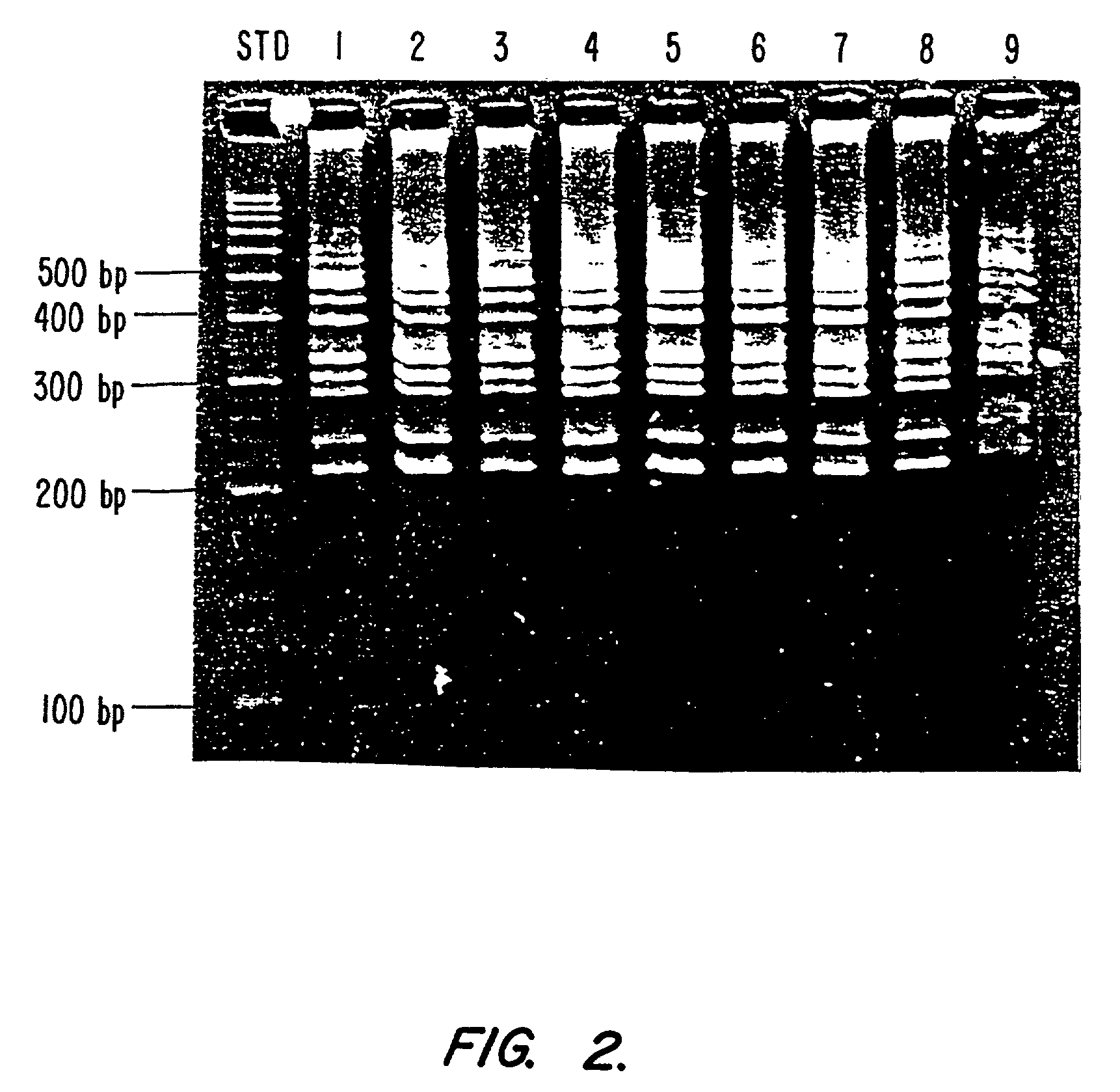 Simultaneous collection of DNA and non-nucleic analytes