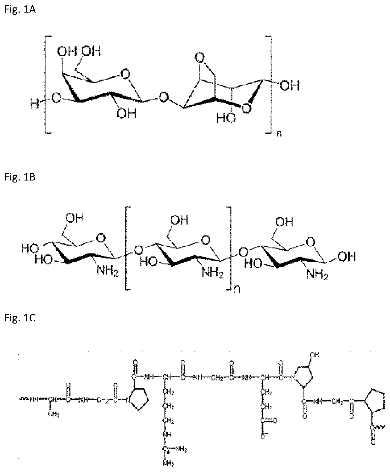 Method of reducing an organic pollutant in contaminated water