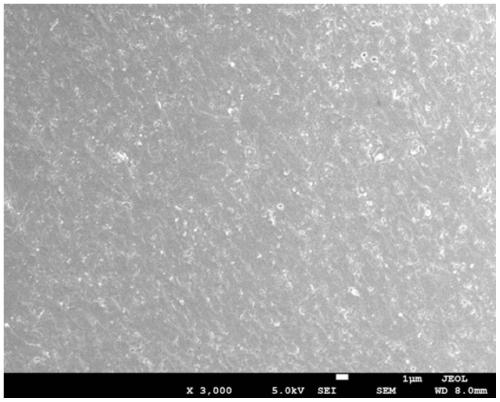 Method for preparing hydroxyapatite ceramic through combination of microwave hydrothermal method and microwave sintering method