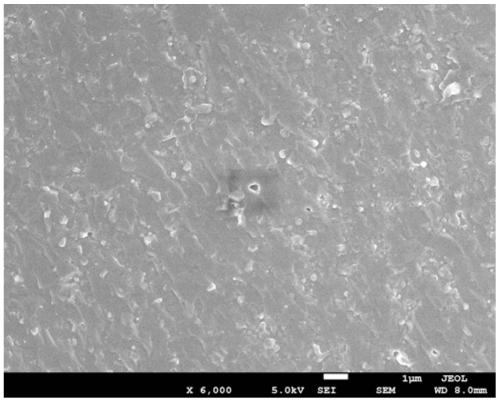 Method for preparing hydroxyapatite ceramic through combination of microwave hydrothermal method and microwave sintering method