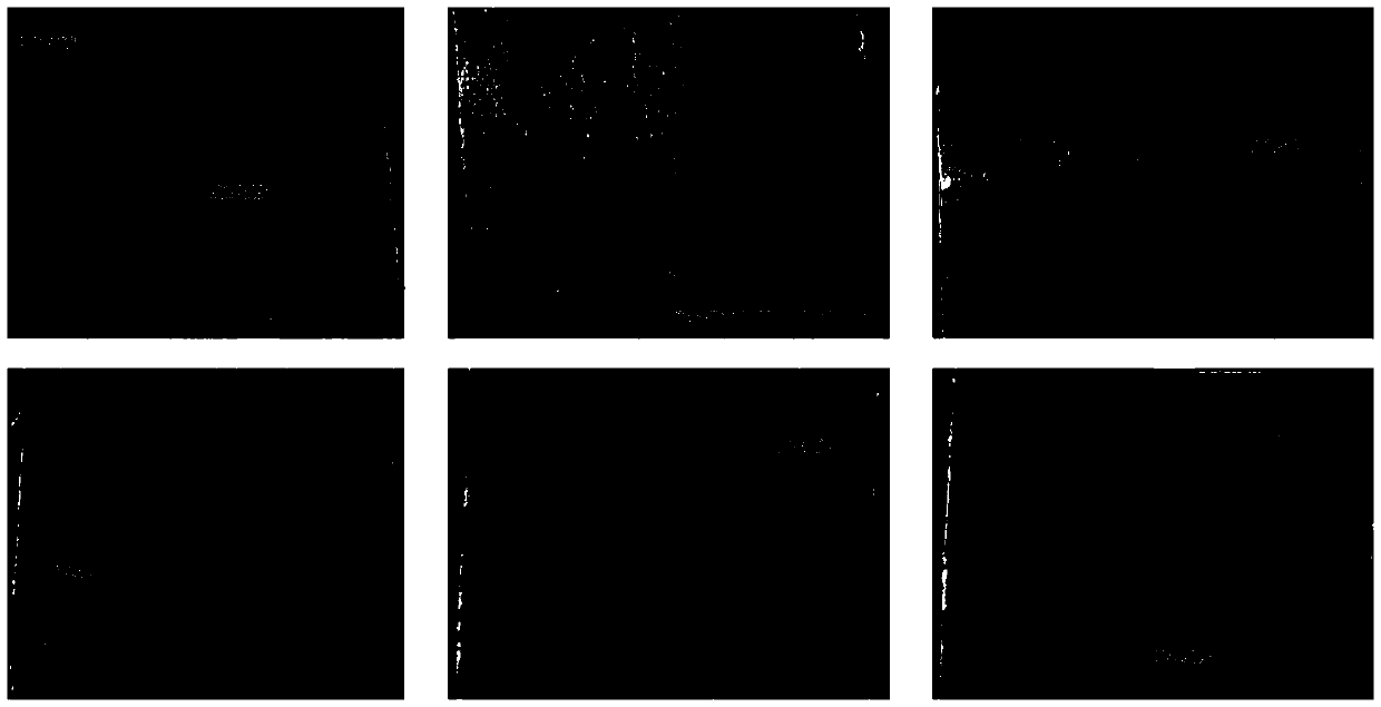 Intelligent detection method for wood optimizing cut-off saw based on deep learning