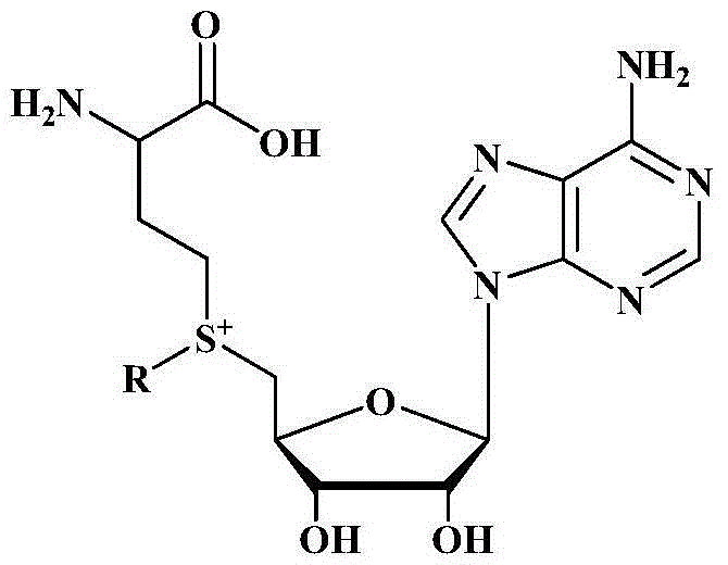 Method for biologically catalyzing hydrocarbylation of catechols