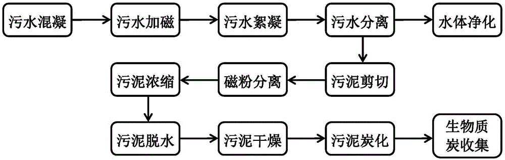 Magnetic separation water body purification system and separation and purification method thereof