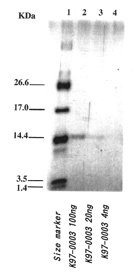 Polypeptide having human HIV inhibitory activity, a gene encoding the polypeptide, a method to produce the polypeptide