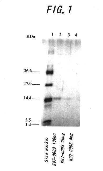 Polypeptide having human HIV inhibitory activity, a gene encoding the polypeptide, a method to produce the polypeptide