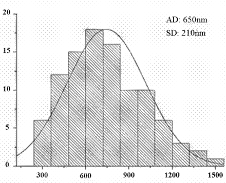 Novel nano-stent available for epithelial implantation and preparation method of novel nano-stent