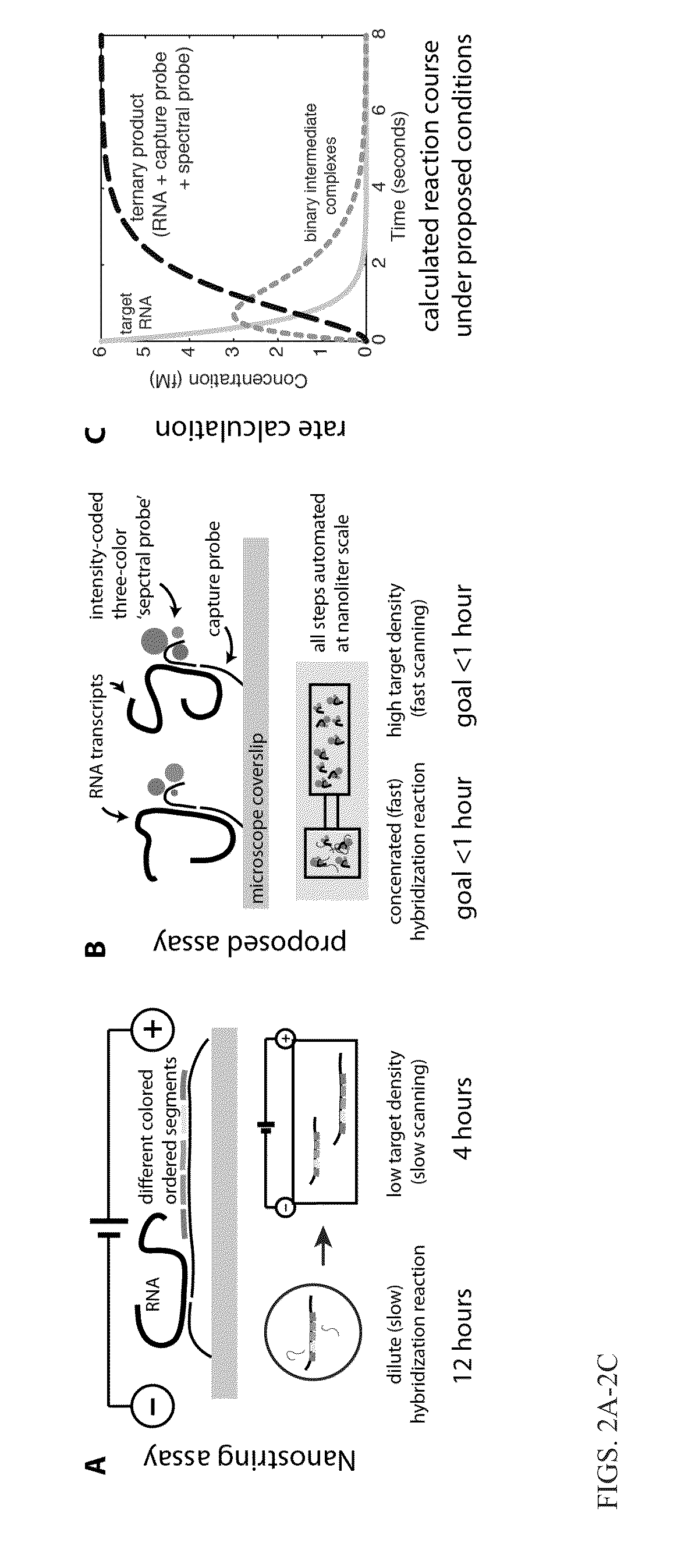 Novel hybridization probes and uses thereof